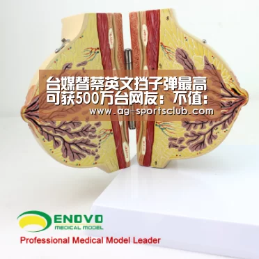 台媒替蔡英文挡子弹最高可获500万台网友:不值:AG赛事(图2) AG赛事